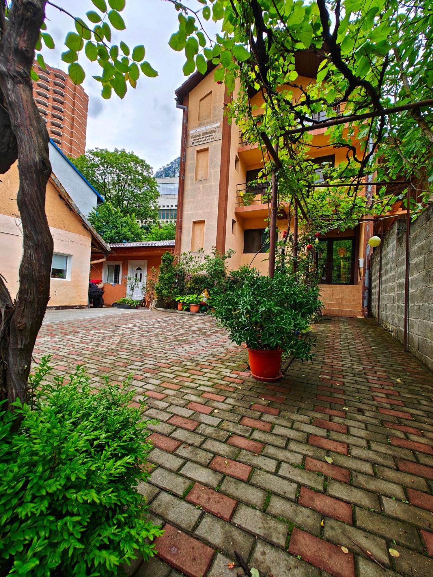 Casa Miclau Apartment Baile Herculane Luaran gambar