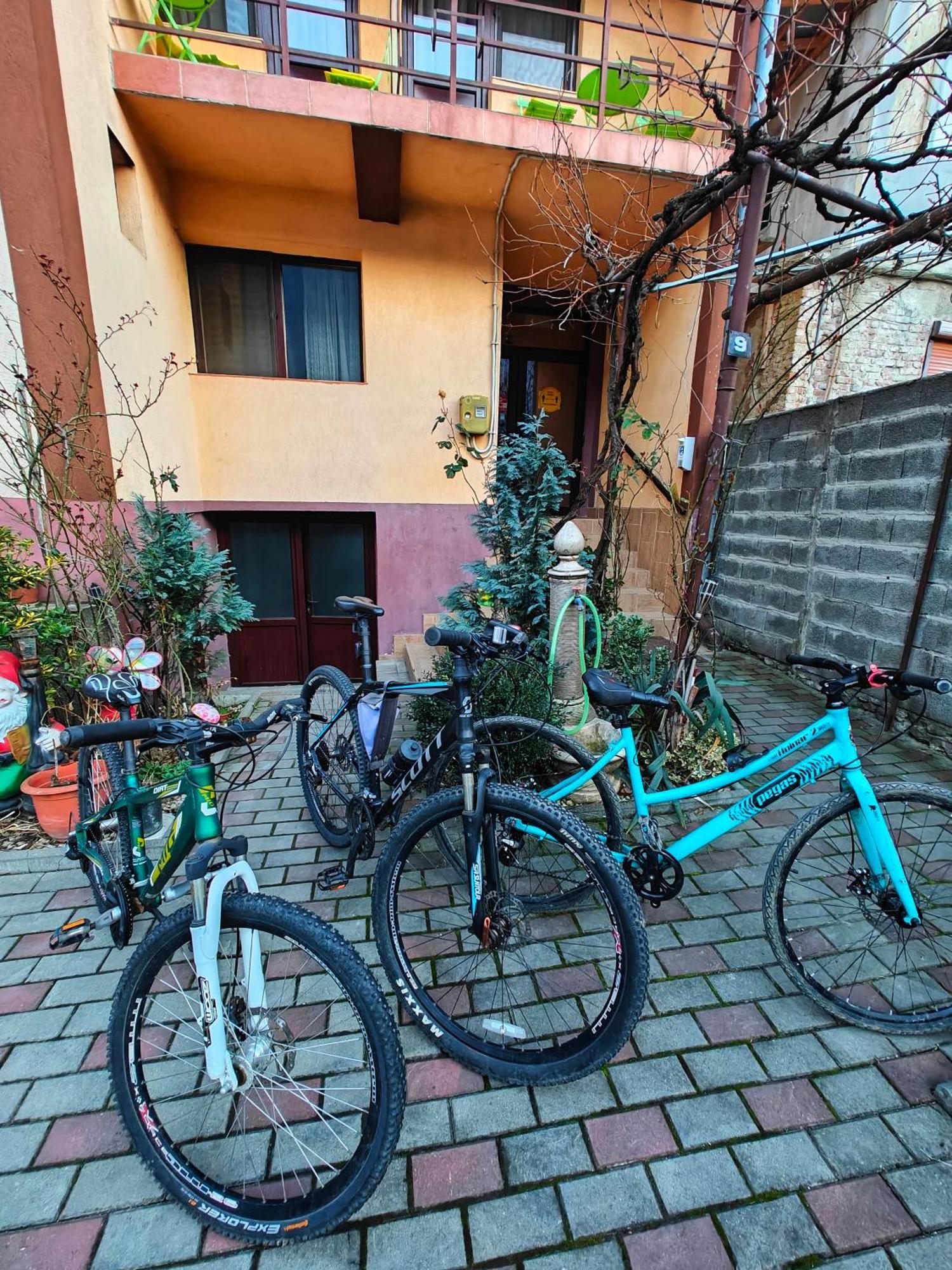 Casa Miclau Apartment Baile Herculane Luaran gambar
