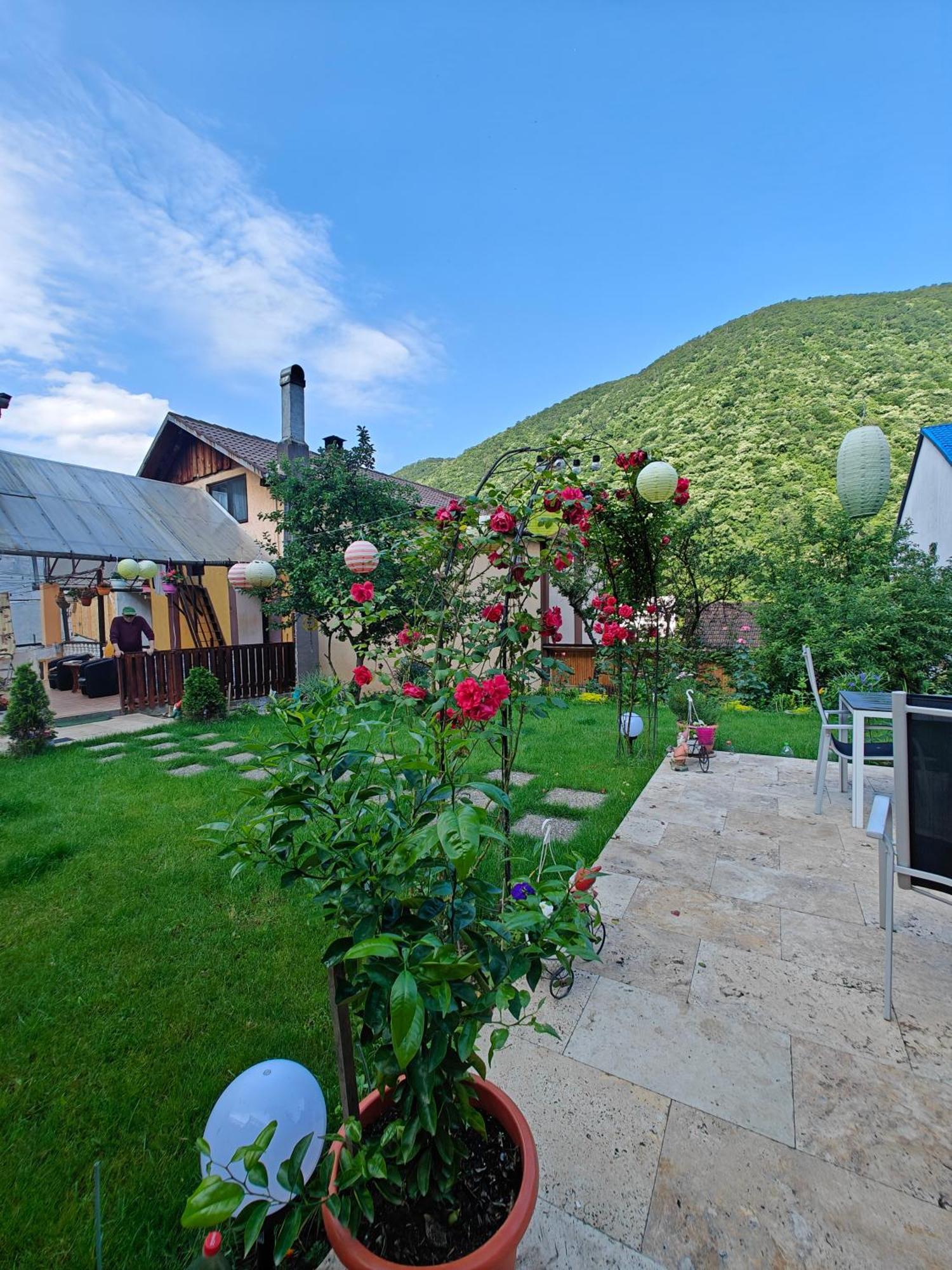 Casa Miclau Apartment Baile Herculane Luaran gambar
