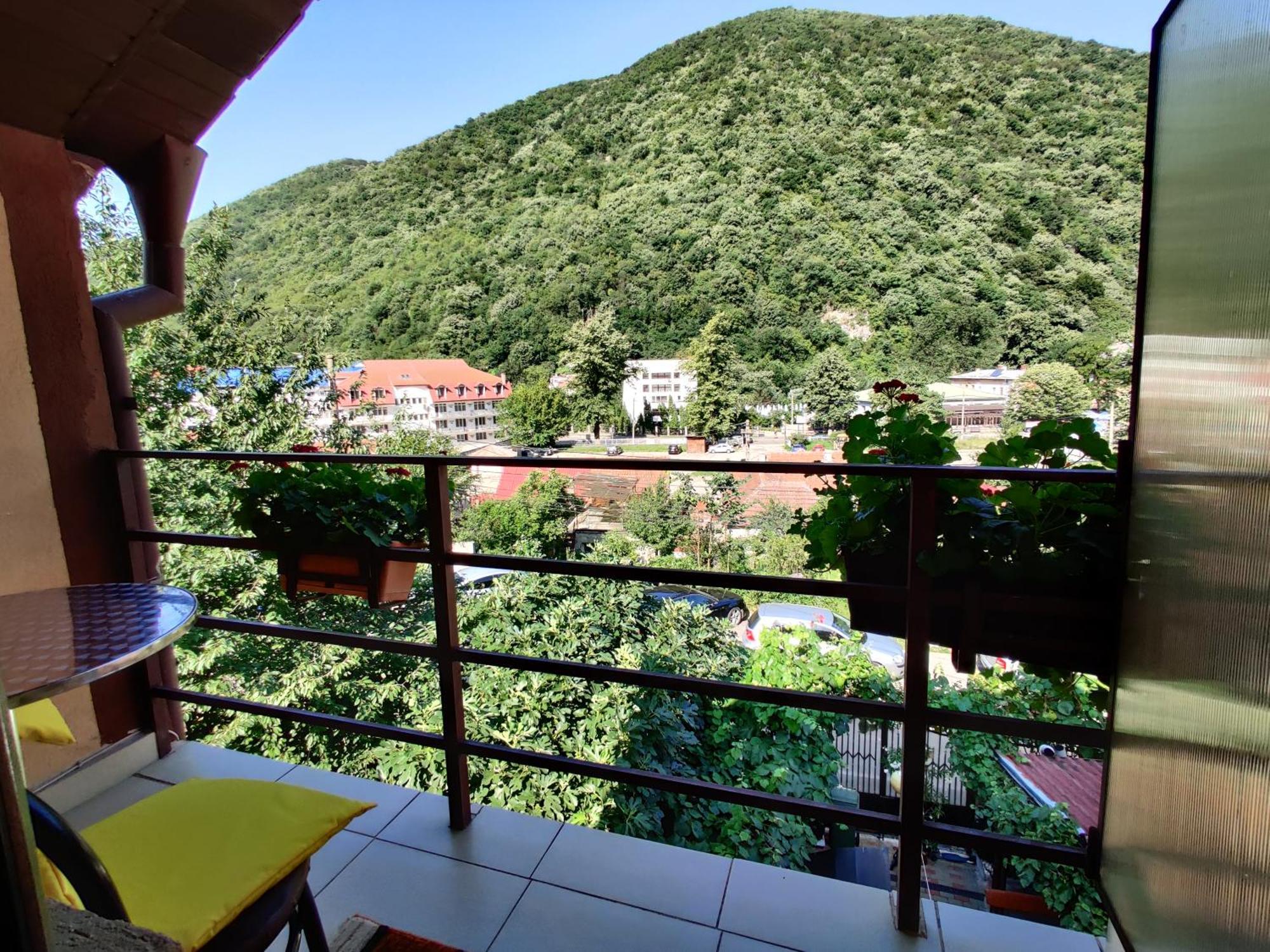 Casa Miclau Apartment Baile Herculane Bilik gambar
